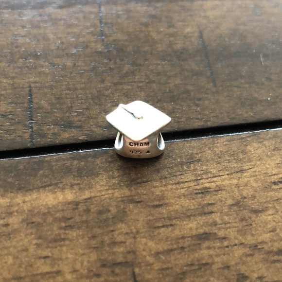 Assorted Pandora and Chamilia Charms - Picture 5 of 9